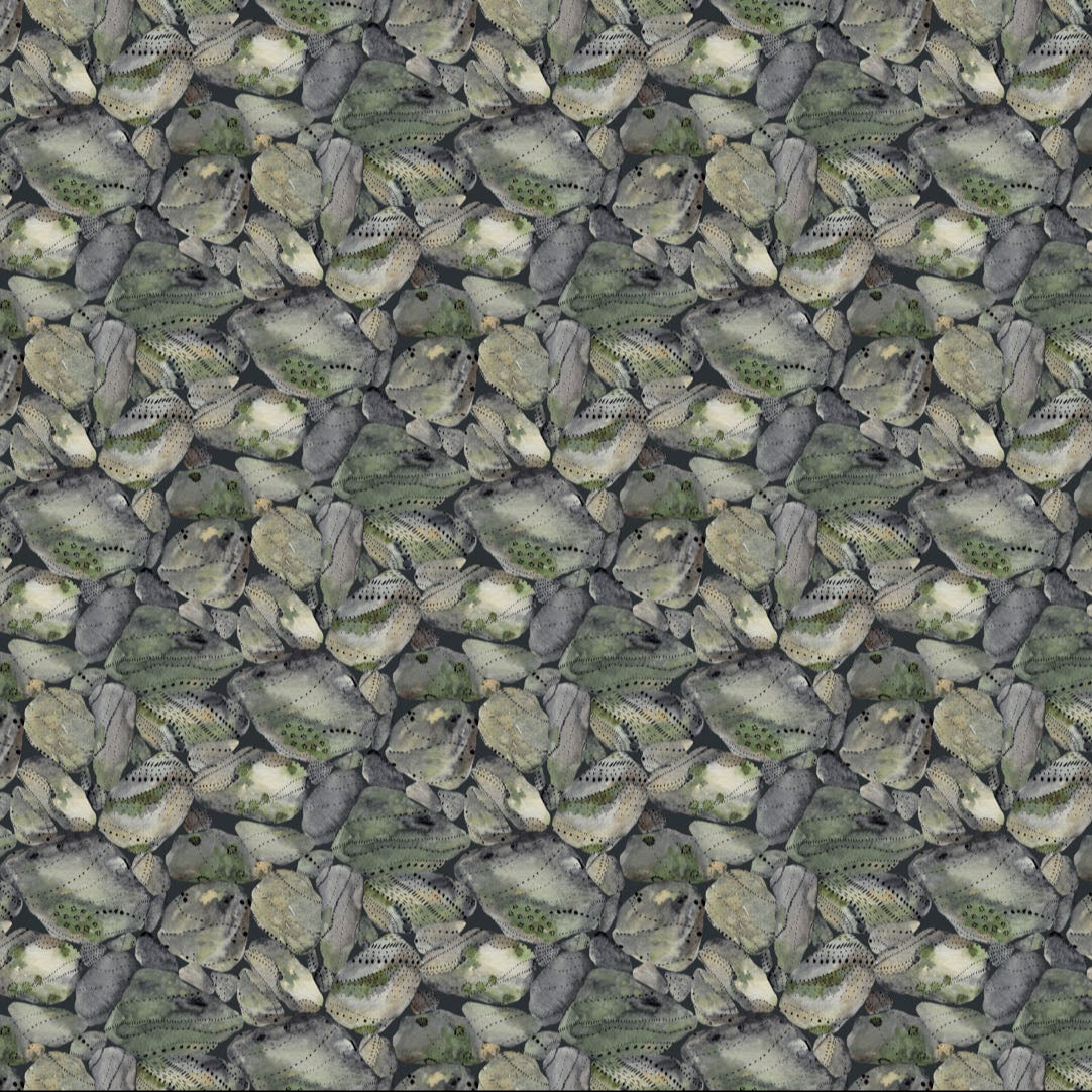 Nature Trail Rocks Gray ½ yd-Fabric-Spool of Thread