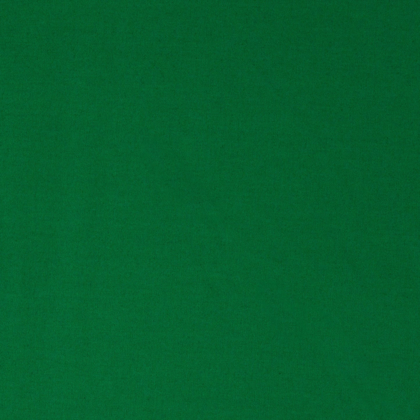Colorworks Premium Solid Astro Turf ½ yd