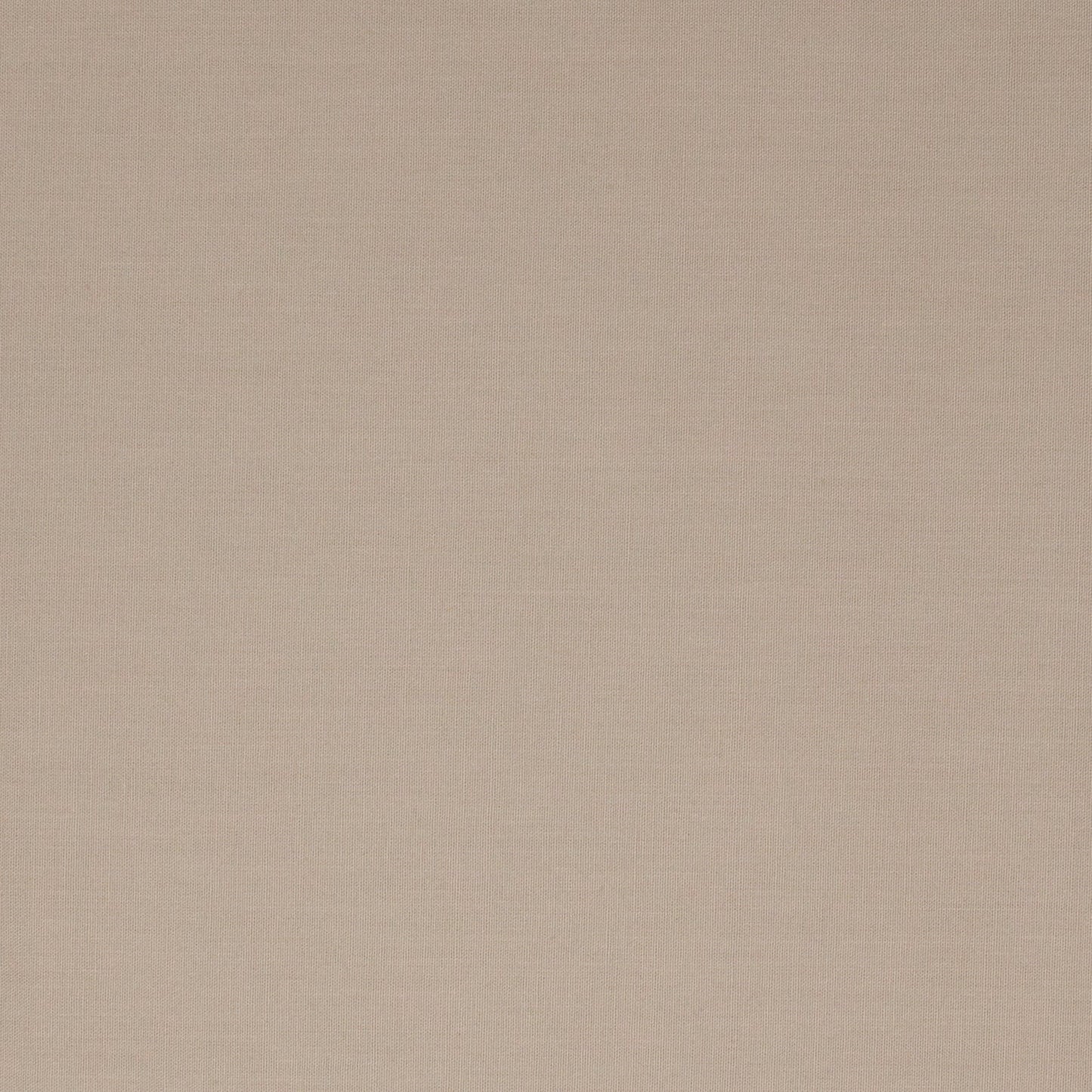 Colorworks Premium Solid Fossil ½ yd