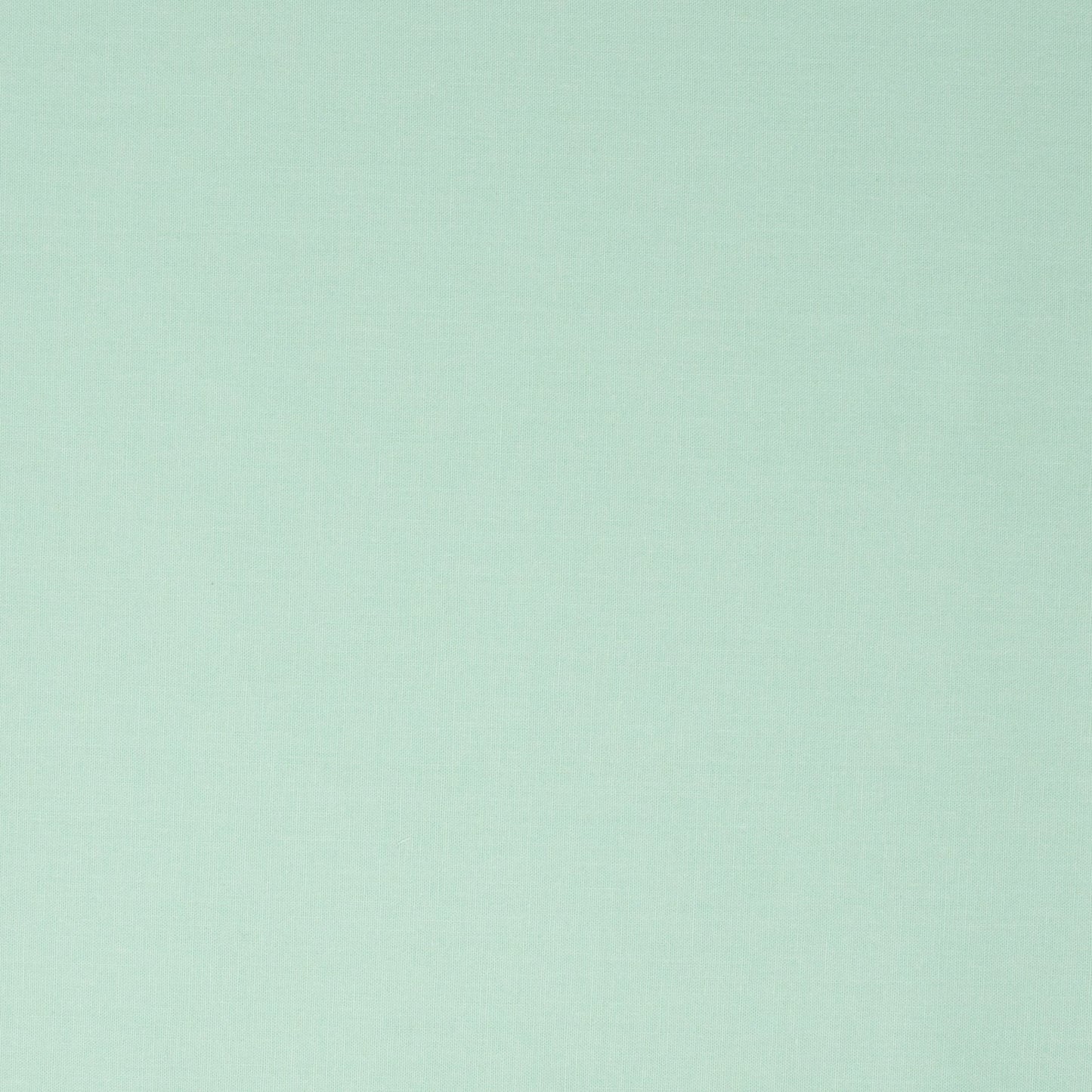 Colorworks Premium Solid Frosted Mint ½ yd