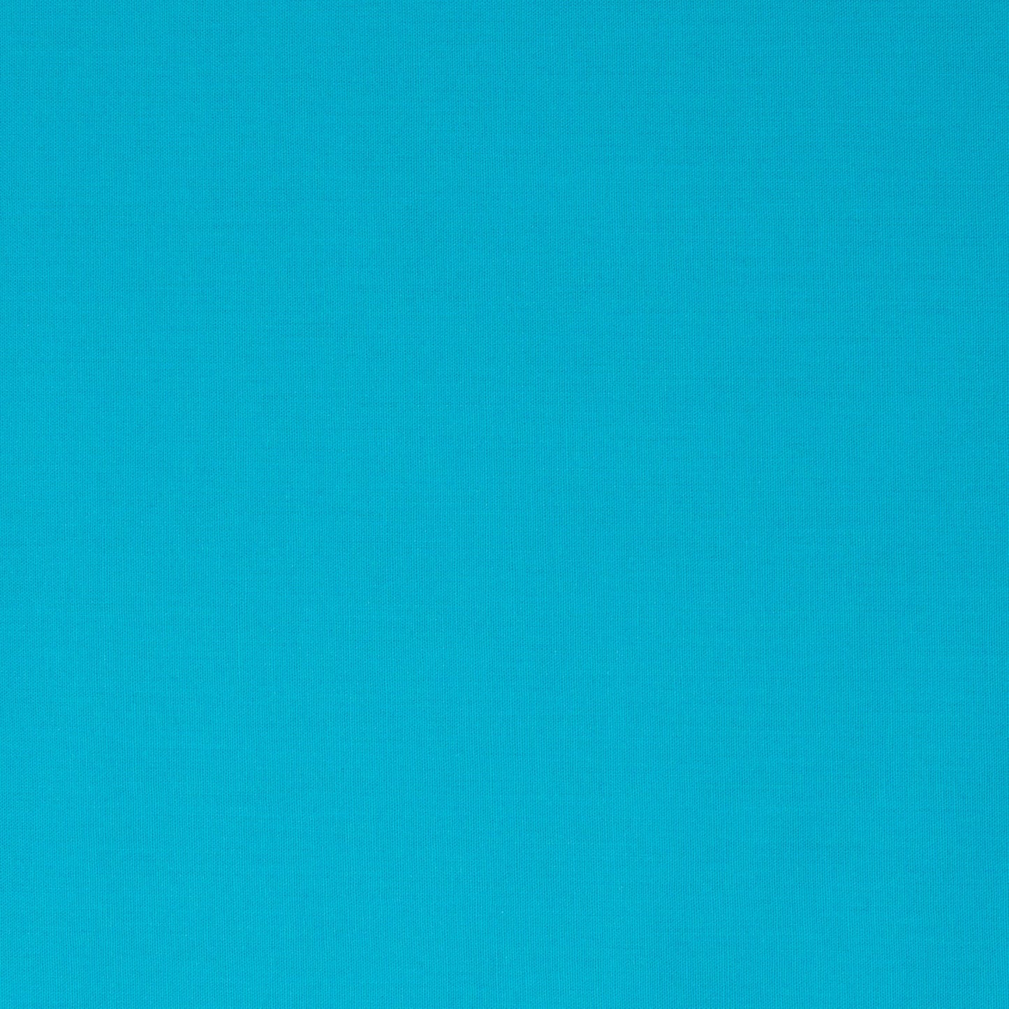 Colorworks Premium Solid Oasis ½ yd