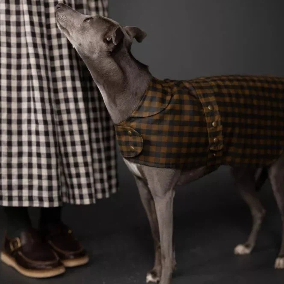 New Merchant + Mills Patterns, with a even a pattern for your Dog!