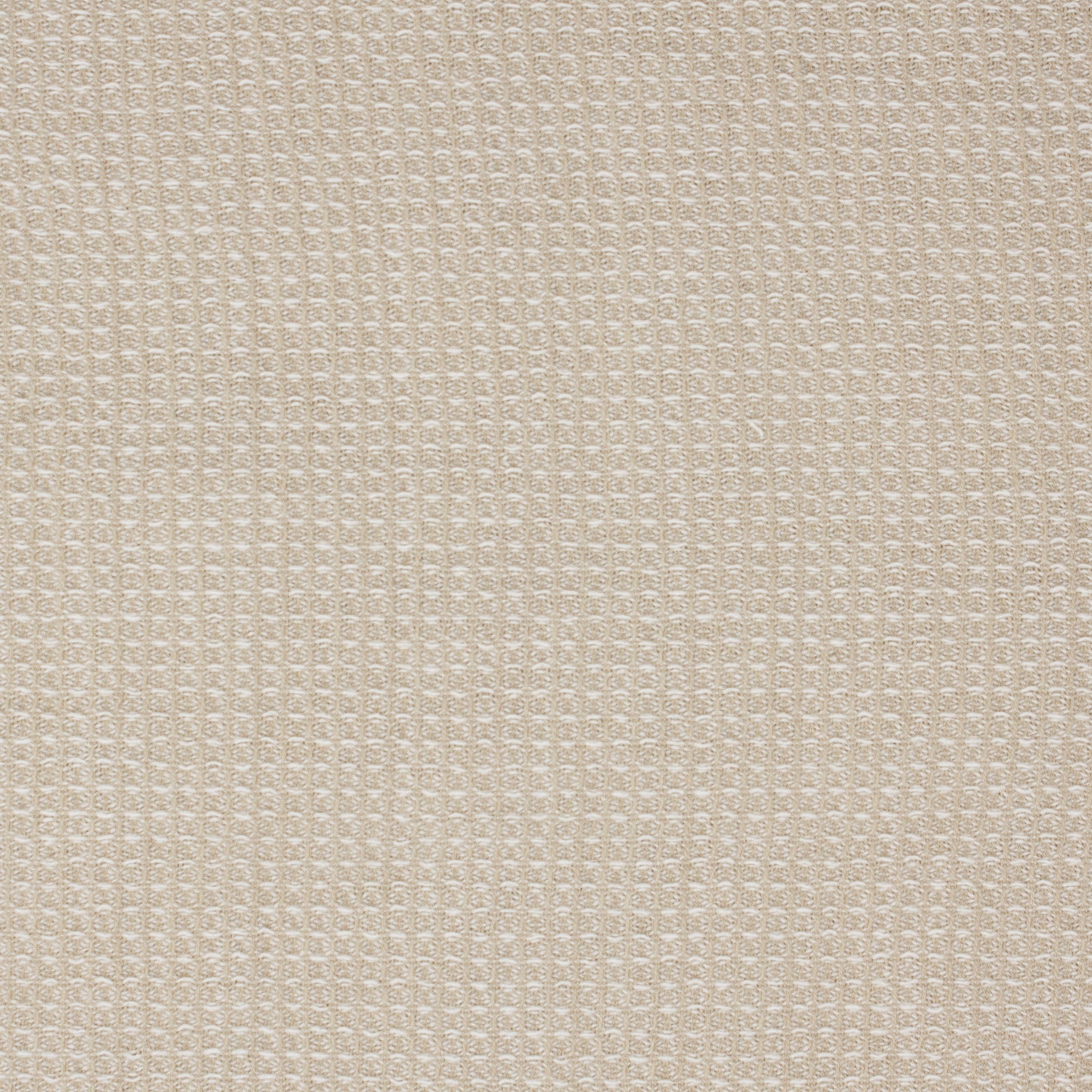 Calvert Organic Cotton Sweater Knit Pine Nut ½ yd-Fabric-Spool of Thread