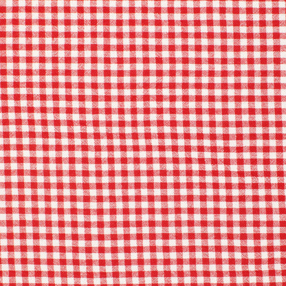 Lady Franklin Organic Cotton Gingham Strawberry Granita ½ yd-Fabric-Spool of Thread