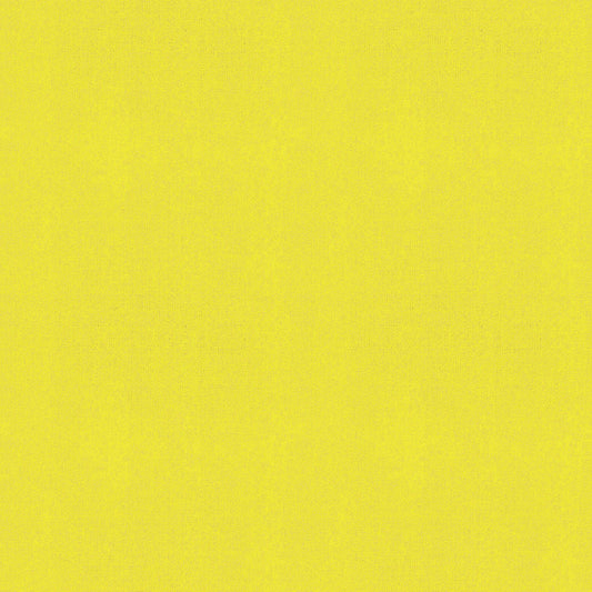 REMNANT Warp Weft Hue Woven Yarn Dye Crossweave Citron - 0.5 yards-Fabric-Spool of Thread
