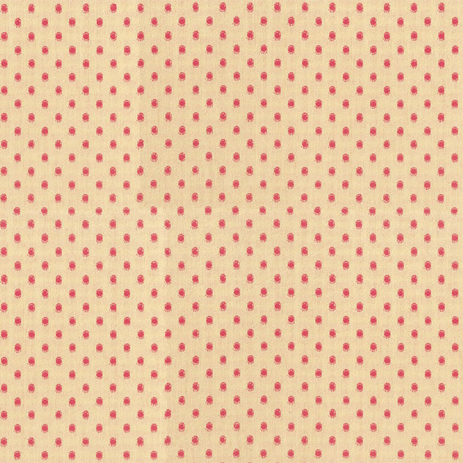 Garden Variety Yarn Dyed Cotton Droplets Rouge ½ yd