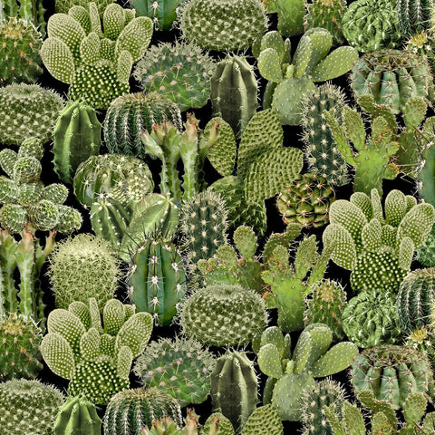 Southwest Cacti Green ½ yd-Fabric-Spool of Thread